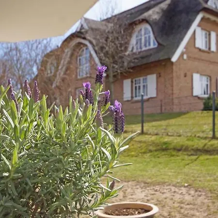 فندق Strandhaus Moenchgut Lobbe *