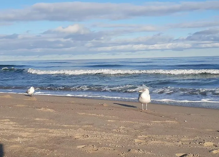 Strandhaus Moenchgut Lobbe * غورين