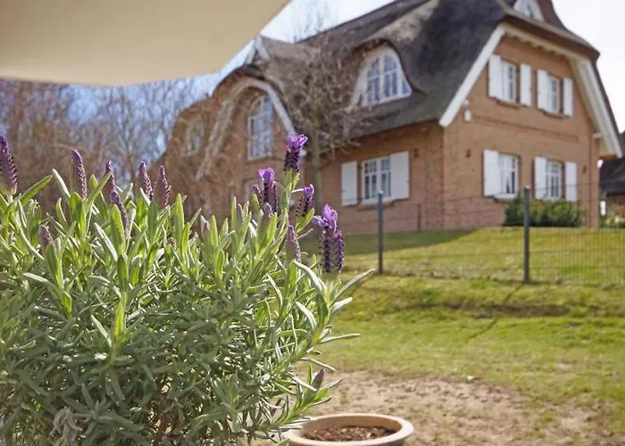 فندق Strandhaus Moenchgut Lobbe *